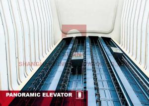 Wholesale Fuji Panoramic Elevator 12 People Passenger Residential Glass Elevator from china suppliers