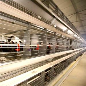Wholesale 3 Floors Metal Breeding Cages , Comfortable Mesh Wire Cage Space Saving from china suppliers