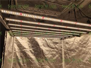 Wholesale 1000w Full Spectrum Greenhouse Horticulture LED Grow Lights from china suppliers