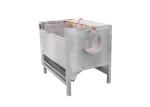 1000kg/h Food Factory Conveyor Belt Cleaning Brush Washing Machine