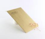 CMYK Printing Kraft Courier Packing Bags 9.5x14.5cm
