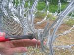 New high quality china manufacture Hot Dipped Galvanized Barbed Wire large