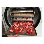 70mm Commercial Vacuum Food Freeze Dryer Machine 300kgs For Fruit And Vegetable