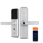 Outdoor Tuya App Fingerprint Biometric Digital Keyless Lock