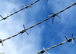 Wholesale Farm Protection Length 200m Stainless Steel Barbed Wire Price Per Roll from china suppliers