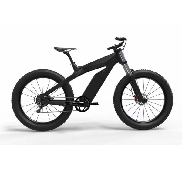Adult Electric Mountain Bike MTB with Kontax Mid Snow Motor and Carbon Fiber