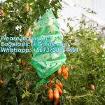 Perforated Tomato Tube Cover Frost Protection Bag Garden Used Cover Tomato