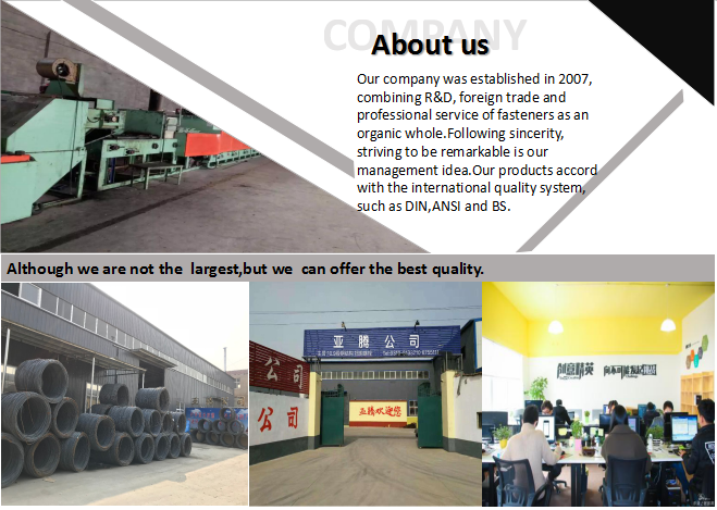 Grade 4.8/8.8 High Security Shear Bolt With Torque Type for Industry