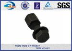 SGS BV Railway Fastener Hex Head Anchor Bolt HDG Custom Diameter 18mm And 22mm