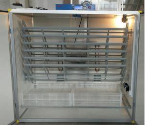 Wholesale Pheasant Incubator 2000 Eggs from china suppliers