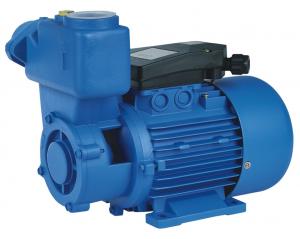 China Precision Casting Motor Housing Domestic Electronic Water Pump 1HP/0.75KW TPS  Series on sale