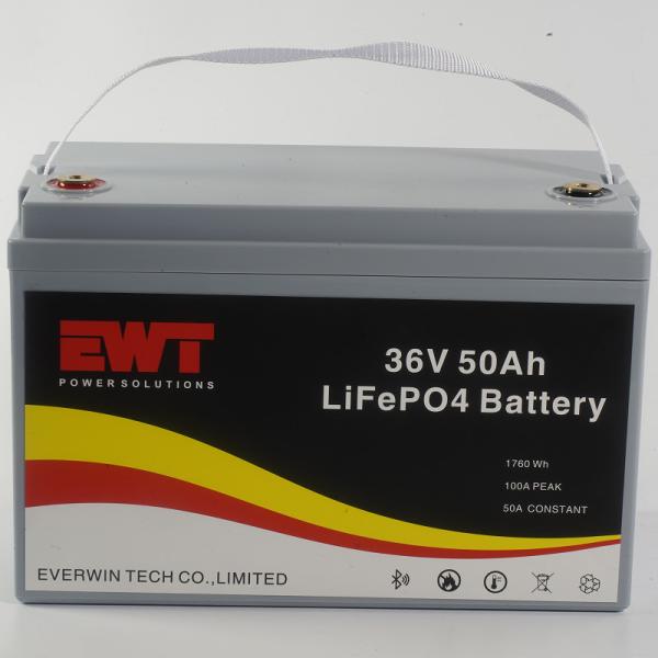 Rechargeable LiFePO4 Lithium Ion Battery Pack 36V 50Ah 1760Wh Battery For Golf