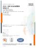 Dongfeng (Shiyan) Torsional Damper Company Limited Certifications