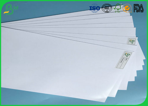 photo paper