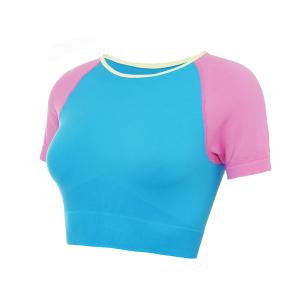 Wholesale Oem Factory Manufacturer Custom Logo Short Sleeve OEM T Shirts Fast Dry Womens Yoga T Shirts from china suppliers