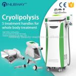 Cavitation Cellulite Reduction Cryolipolysis Slimming Machine
