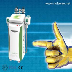 Wholesale cryolipolysis lipo laser from china suppliers
