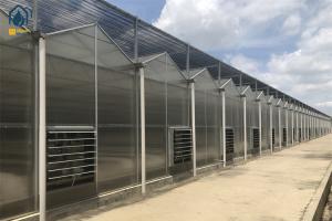 Wholesale Indoor Farming Polycarbonate Green House For Fast Growing Crops from china suppliers