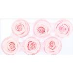 Home Decoration Preserved Rose Heads For Arrangements And Decorations