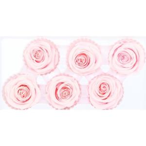 Wholesale Home Decoration Preserved Rose Heads For Arrangements And Decorations from china suppliers