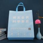 Folding Durable Eco Friendly Non Woven Bags For Supermarket