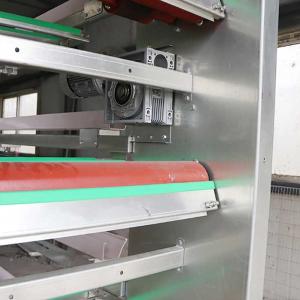 Wholesale U Shape Steel Automatic Poultry Cage , 3 Phase 50HZ A Frame Layer Cages from china suppliers