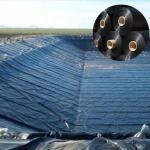 Direct Supply 0.5mm HDPE Sheet Polyethylene Film for Aquaculture Length 50-200m