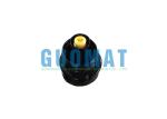 Air Bag Suspension Kits For Mercedes Air Suspension S-Class W221 Front Left /