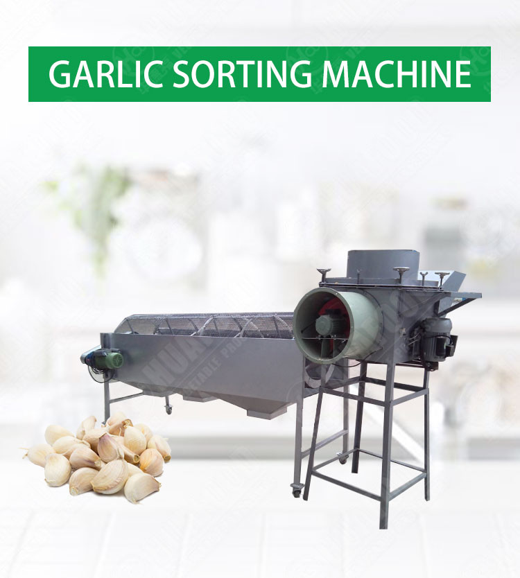800KG/Hr Automatic Food Processing Machines Peeled Garlic Color Sorter Machine