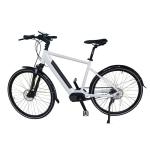 36V Electric City Bike Hidden Battery Trekking E-Bike 250W 500W Aluminum Alloy