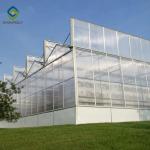 Garden Transparent Exhibition 10mm PC Sheet Greenhouse