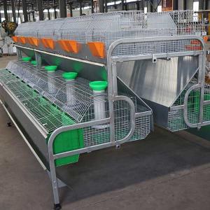 Wholesale 1500mm Height Sturdy Rabbit Hutch , Waterproof 2 tiers Huge Bunny Cage from china suppliers