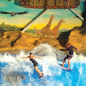 Wholesale OEM Water Park Hotel Novelty Flowrider Surfing Simulating Machine Equipment for Amusement Park from china suppliers