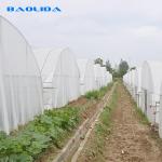 Tropical Agricultural Single Span Tunnel Plastic Film Polyethylene Film