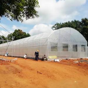 Wholesale Wind Resistance Plastic Film Greenhouse with 90% Light Transmittance from china suppliers