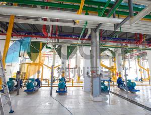 Wholesale Soybean Oil Leaching Edible Oil Extraction Equipment OEM 40HQ from china suppliers