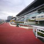Non-Slip Rubber Floor Mat Safety Mat Rubber Floor For Horse Racecourse Access
