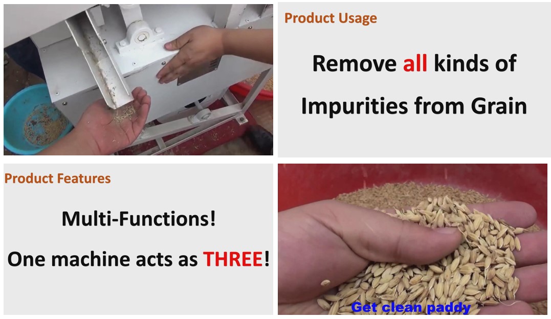 TQLQ63 Combined Grain Cleaning Machine Rice Shifter Winnower for Coffee Wheat Maize
