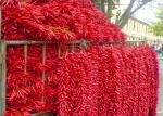New Crop 4-7 Cm Asian Dried Chili Peppers Spicy Popular In Sichuan Restaurants
