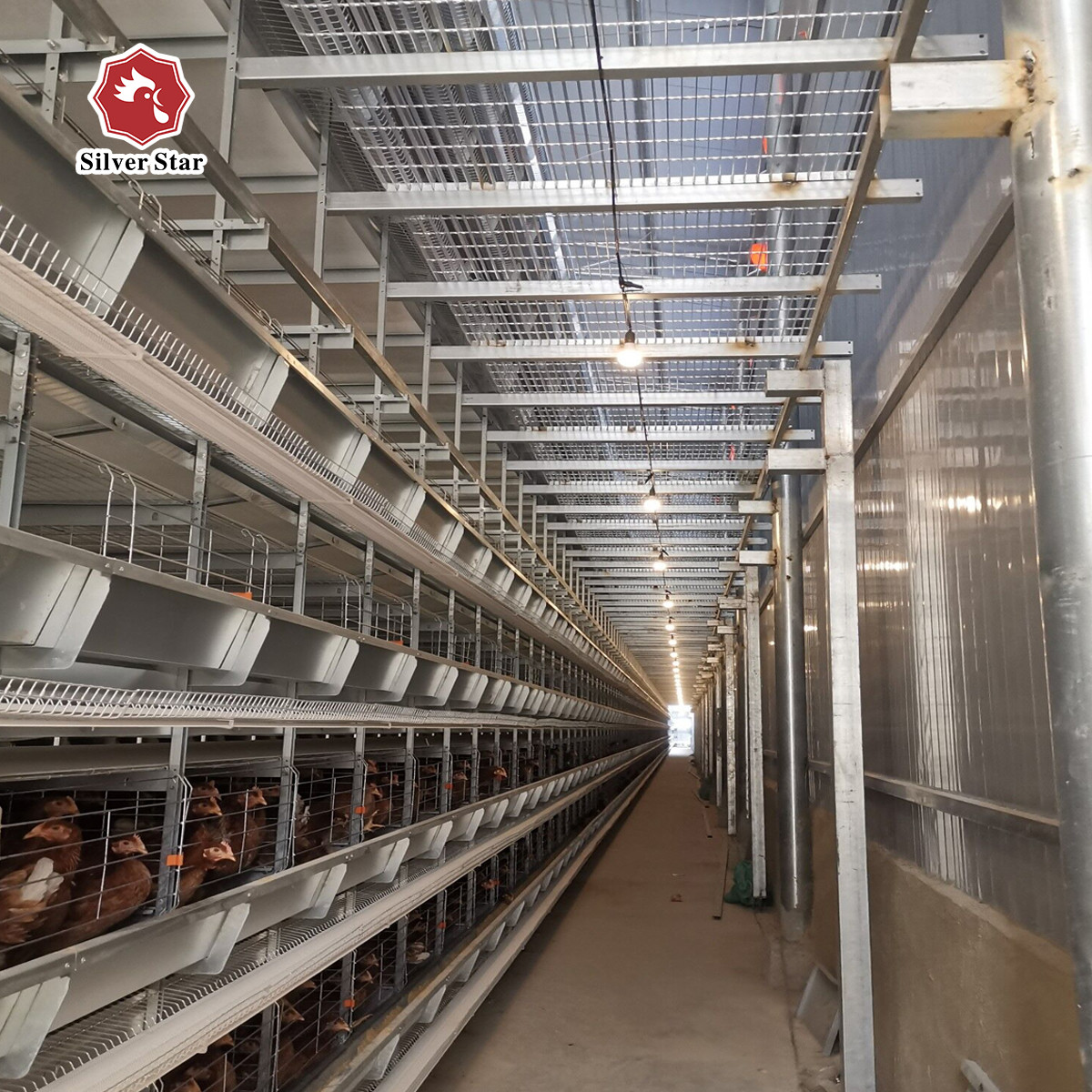 H Type Automatic Egg Layer Chicken Farm Cage Cold Galvanized