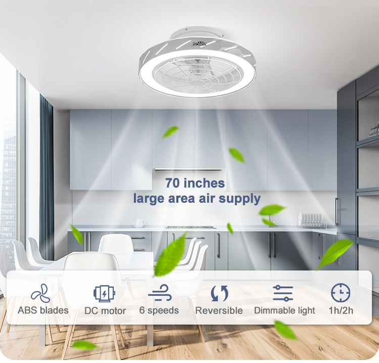 Smart Remote Controlled Flush Mount LED Ceiling Fan with DC Motor and ABS Blades