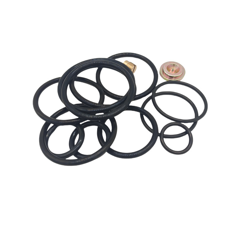 Corrosion Resistance Custom Size 2'' *2'' Plug Valve Repair Seal Kit For Completion Tool