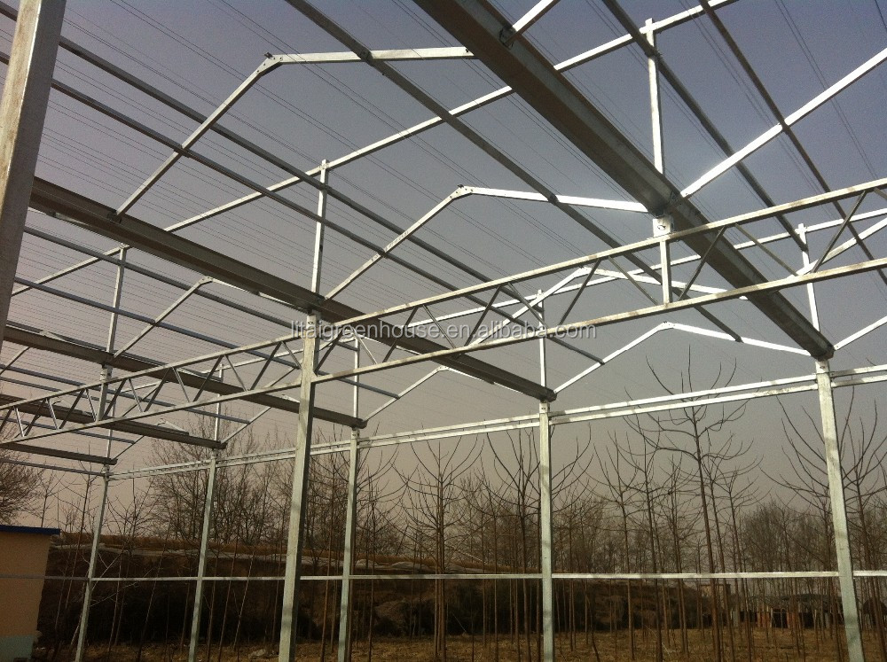 Smart Controlled Safe Glass Greenhouse for Vegetable Fruits Flowers Top Height 4.8m-6.8m