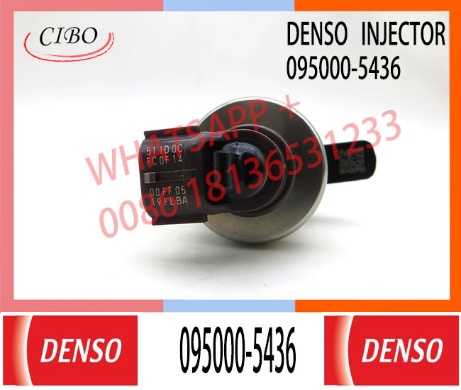 Diesel Fuel Infector 095000-5430 095000-5431 095000-5434 095000-5435 8973113725 8-97311372-5 For ISUZU 4JJ1 D-Max