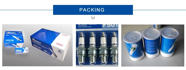 MTU12V4000GS Units High Voltage Spark Plug R6GC1-77M Flat 0.3mm 77 Resistor Pre-Chamber