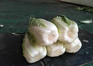 Wholesale 2.5 Kg / Per Organic Chinese Cabbage , Organic Green Cabbage Easy Stockpile from china suppliers