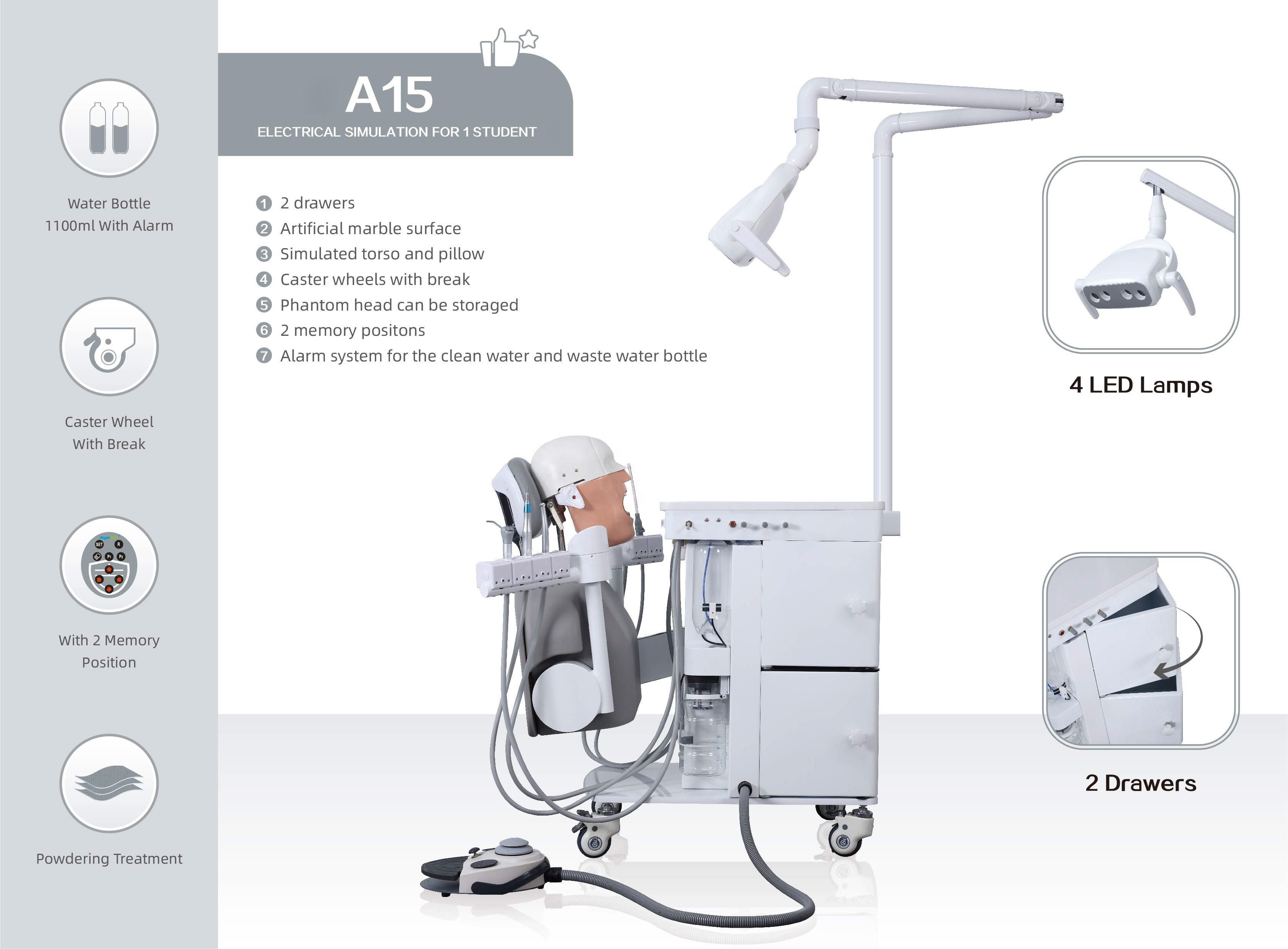 OEM Practical Phantom Head Dental Simulator A1 A3 A15 For Students