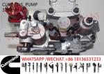3262033 4063844 3883776 3080521 3963717 Diesel Engine Fuel Pump