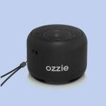 Wired AUX Wireless Waterproof Speaker MP3 WAV APE FLAC 12 Hours Playing