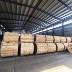 ACSR/Aw Bare Conductor Third Party Inspection Accepted for Durable Transmission